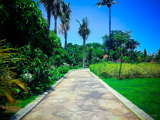 Beautiful View In The Garden A Long The Way At Tangguwisia Village, North Bali, Indonesia