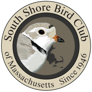 South Shore Bird Club of MA