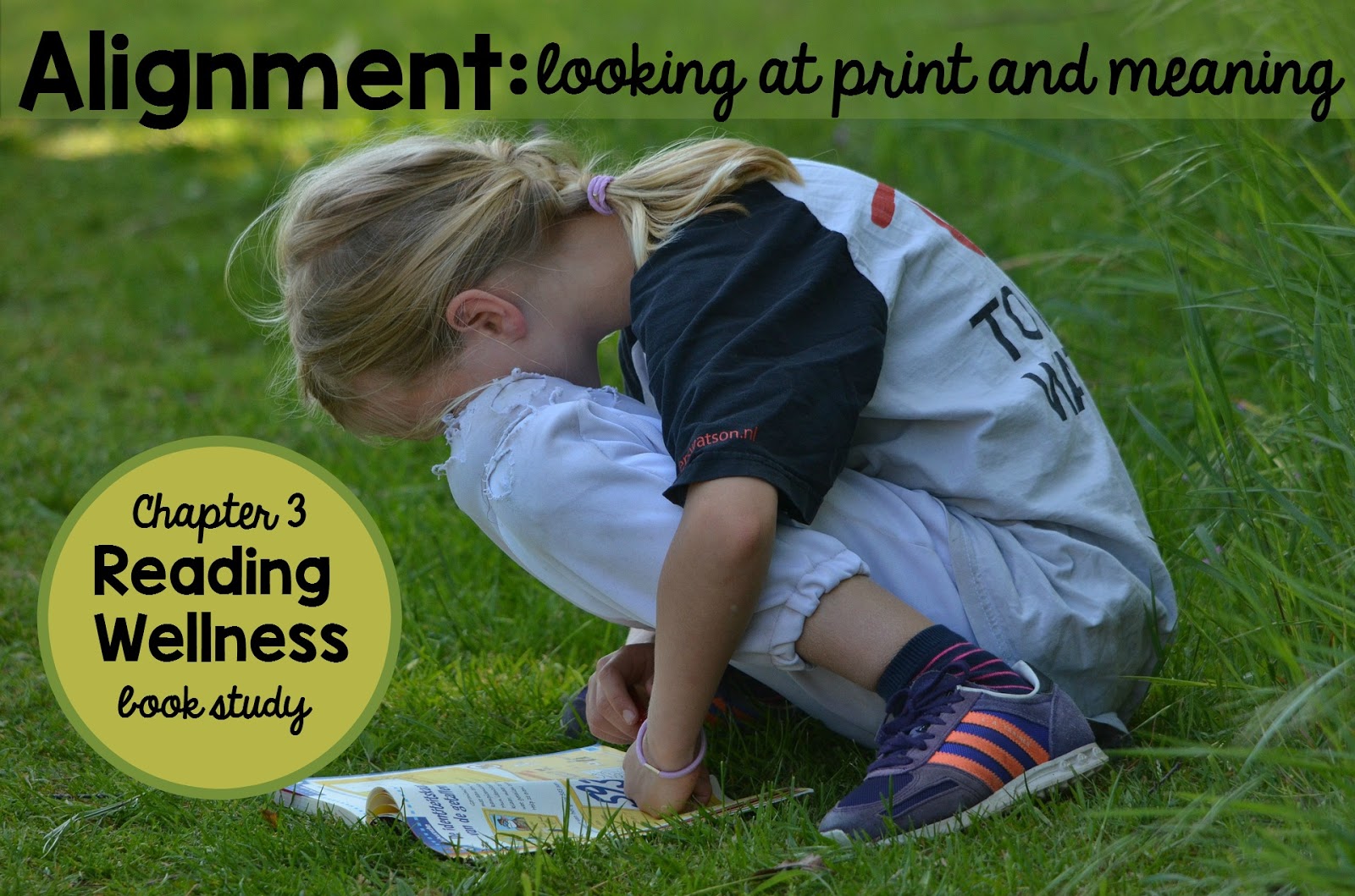 Reading Wellness Alignment Adventures in Literacy Land