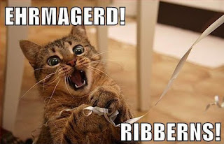 Cat Memes Photos Cat Memes Photos
