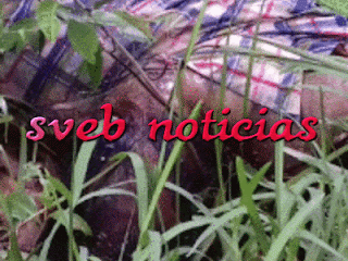 Hallan ejecutado a otro joven este Miercoles en Agua Dulce Veracruz
