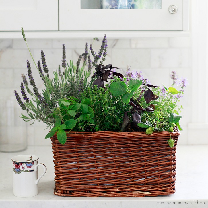DIY Kitchen Herb Garden