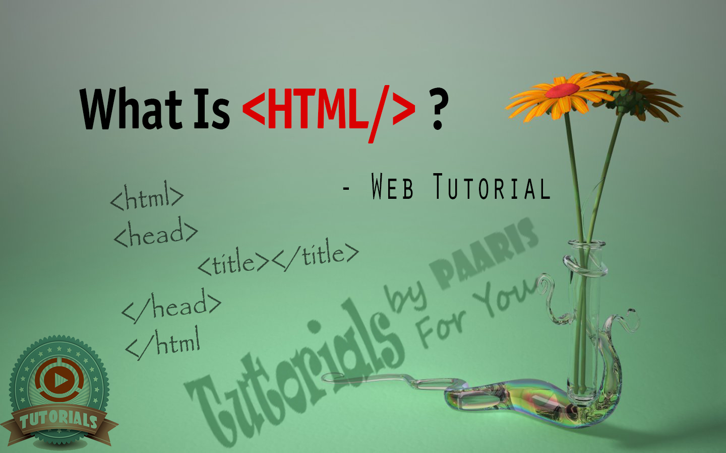 What Is HTML? A Little Bit About HTML | Web Tutorial - Test