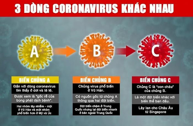 Covid-19 biến chủng thành ba dòng khác biệt khi lây lan ra toàn cầu