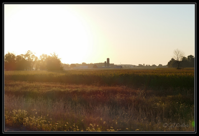 Sunrise in Ohio