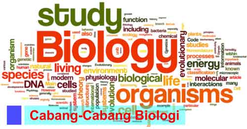 cabang-cabang ilmu biologi