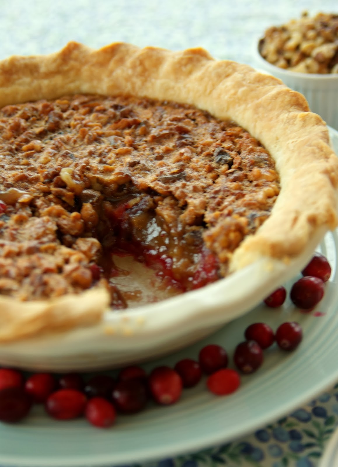 Alice and the Mock Turtle: Walnut Cranberry Pie