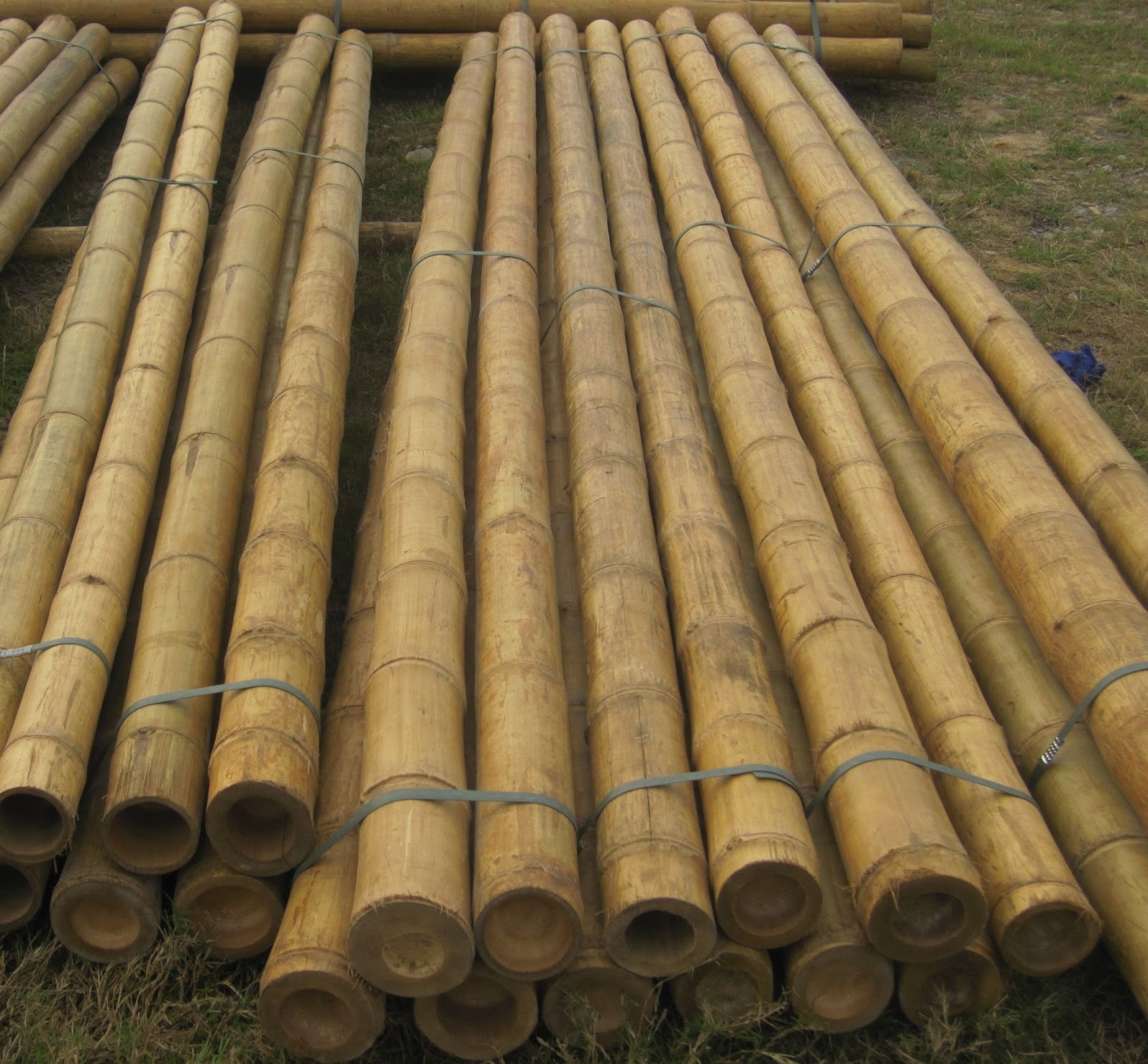 Quality Bamboo and Asian Thatch Bamboo Pole A achieved max. wall