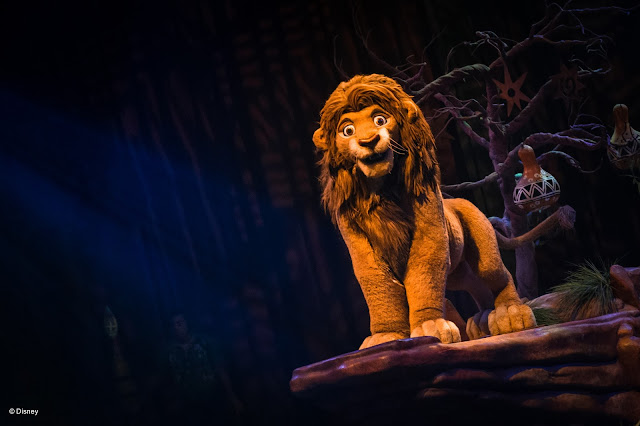Lion King Animal Kingdom