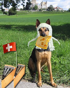 Cracker Critters Judge Loki