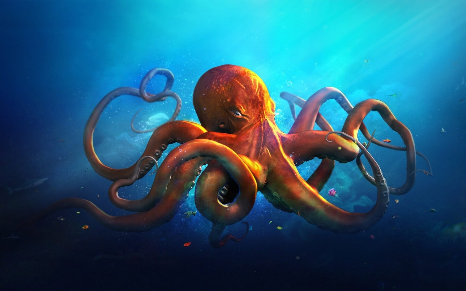 Octopus Wallpaper Download In High Resolution - Free New Wallpapers | HD High Quality Motion