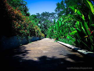Beautiful View Of The Walkway In The Garden At Tangguwisia Village, North Bali, Indonesia