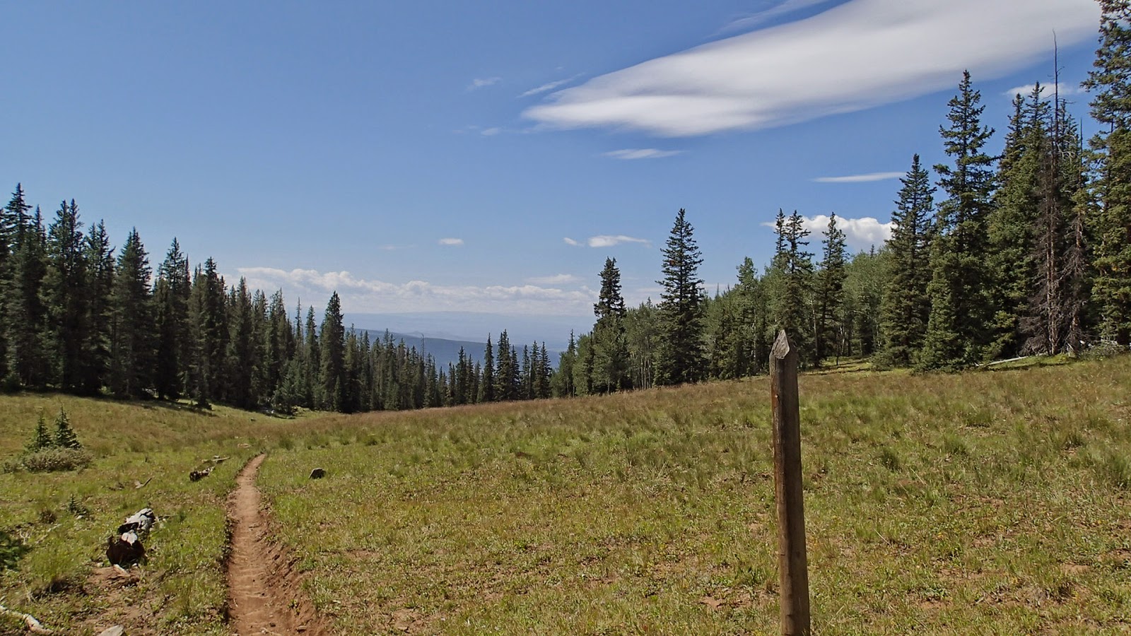 Ramblin' Doctor Park Trail
