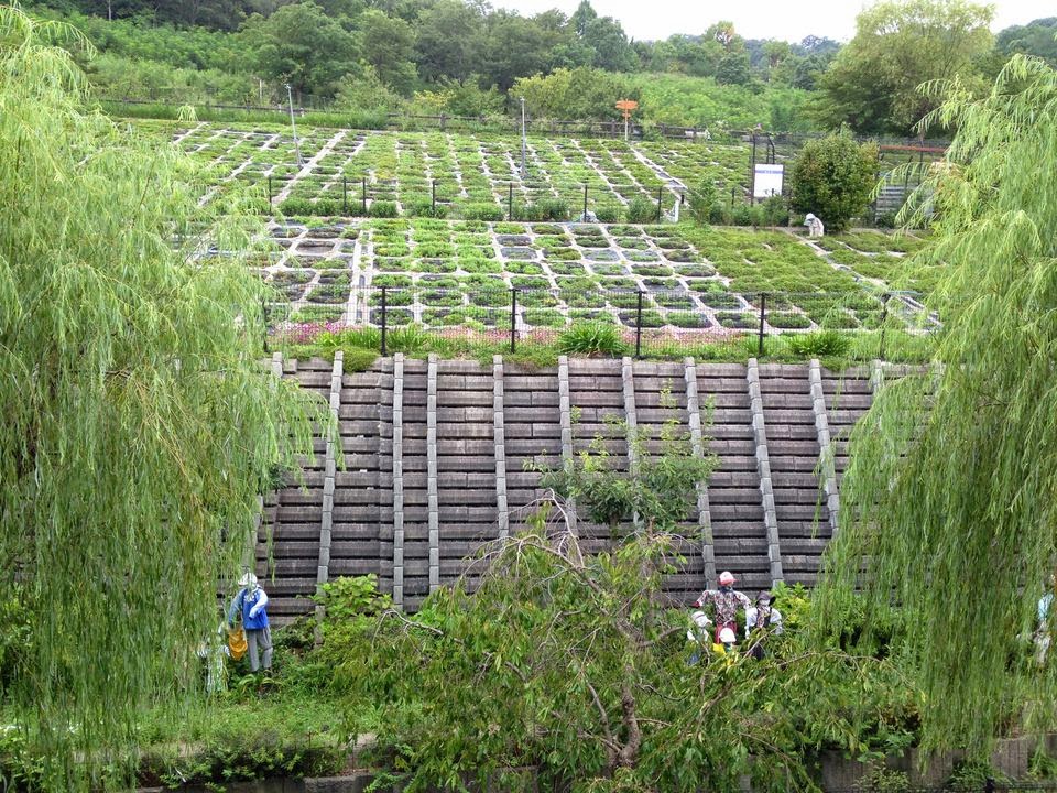 809/1000 仁川百合野町地すべり資料館の緑地(兵庫県西宮市)日本1000公園 809/1000 仁川百合野町地すべり資料館の緑地(兵庫県西宮市)日本1000公園