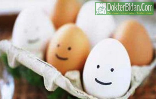 Alergi Telur - Penyebab Gejala Dan Cara Mengobati Secara Cepat Alami Dengan Herbal dan Obat Apotik Alergi Telur - Penyebab Gejala Dan Cara Mengobati Secara Cepat Alami Dengan Herbal dan Obat Apotik
