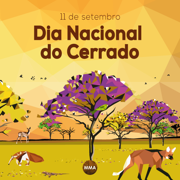 Resultado de imagem para 11 de setembro dia do cerrado