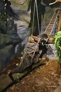 jakarta aquarium neo soho