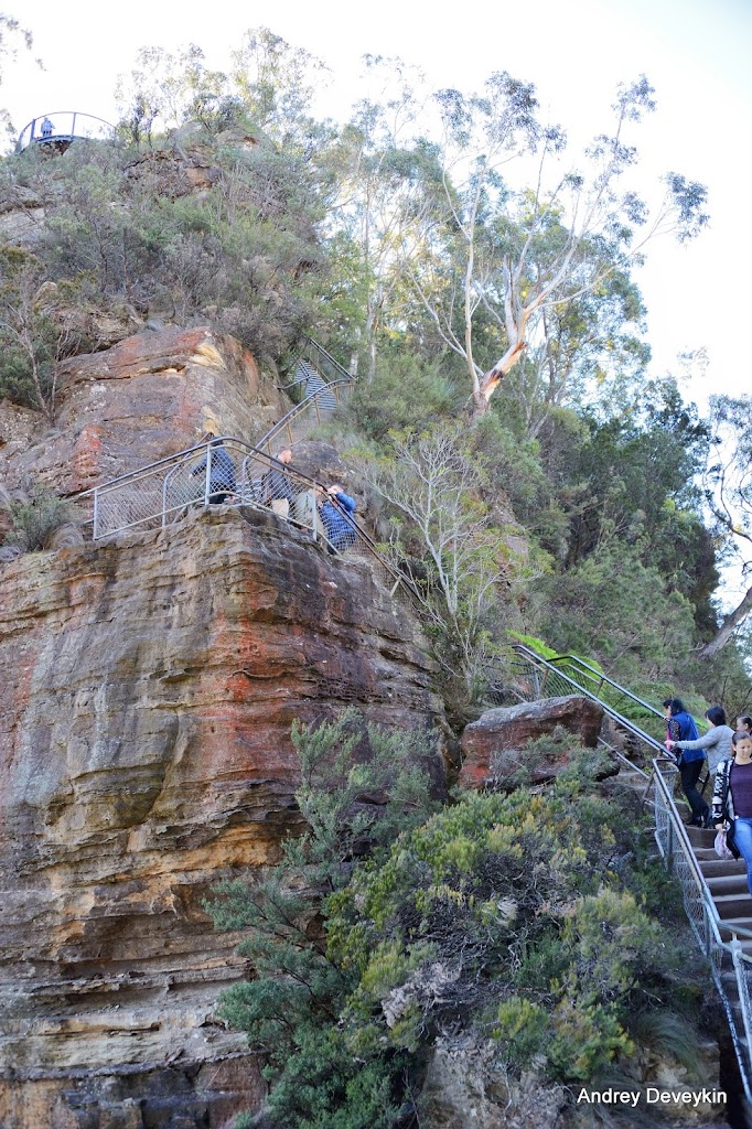 Национальный парк Голубые горы (Blue Mountains National Park)