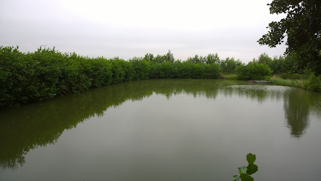 intakter Karpfenweiher im August (c) by Joachim Wenk 