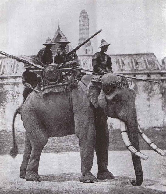Сиамский боевой слон. 1866 год