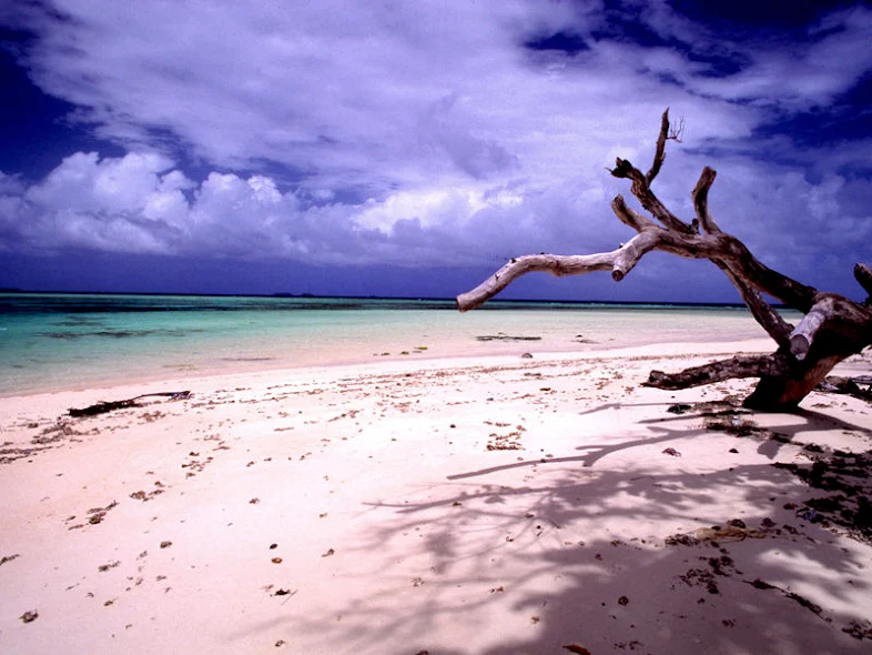 Pemandangan pantai di Laura, Majuro