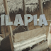 VIDEO: Mr Eazi – Tilapia (Short Feem) Ft. Medikal