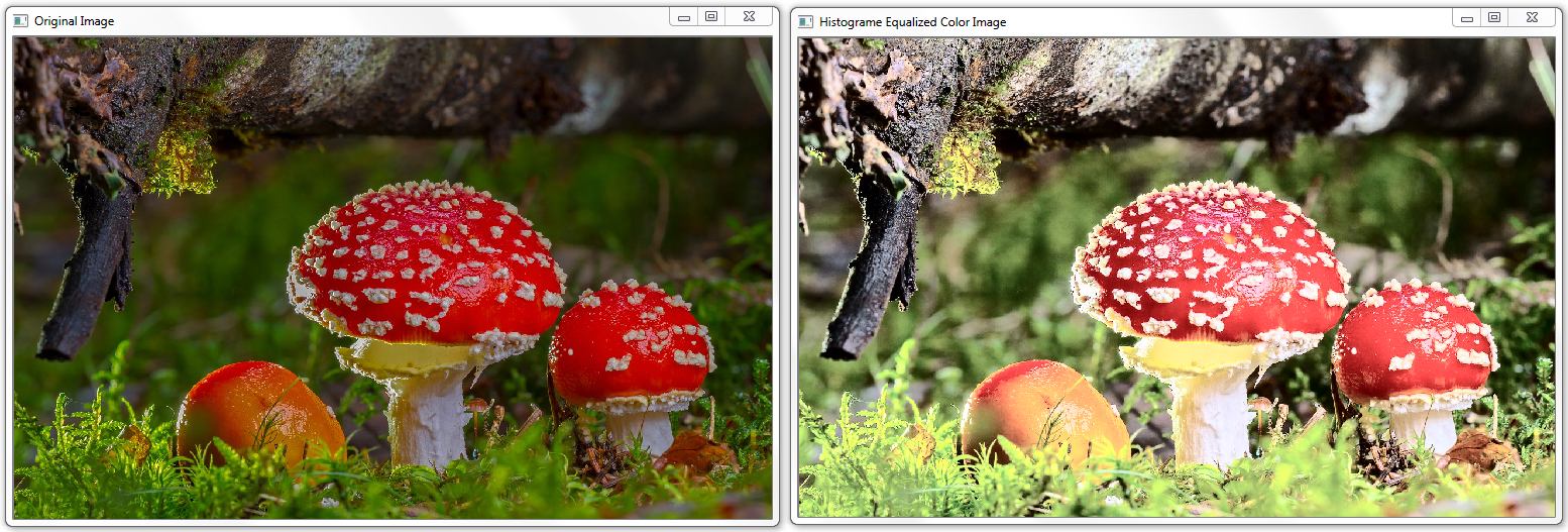 Histogram Equalization OpenCV Tutorial C++