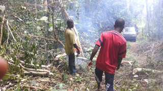 Preparations for cultivation Preparations for cultivation