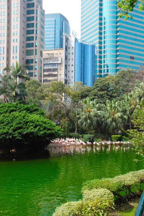 kowloon park hong kong china kowloon park hong kong china