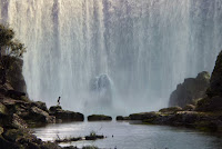 fotos%2Bel%2Blibro%2Bde%2Bla%2Bselva%2B1