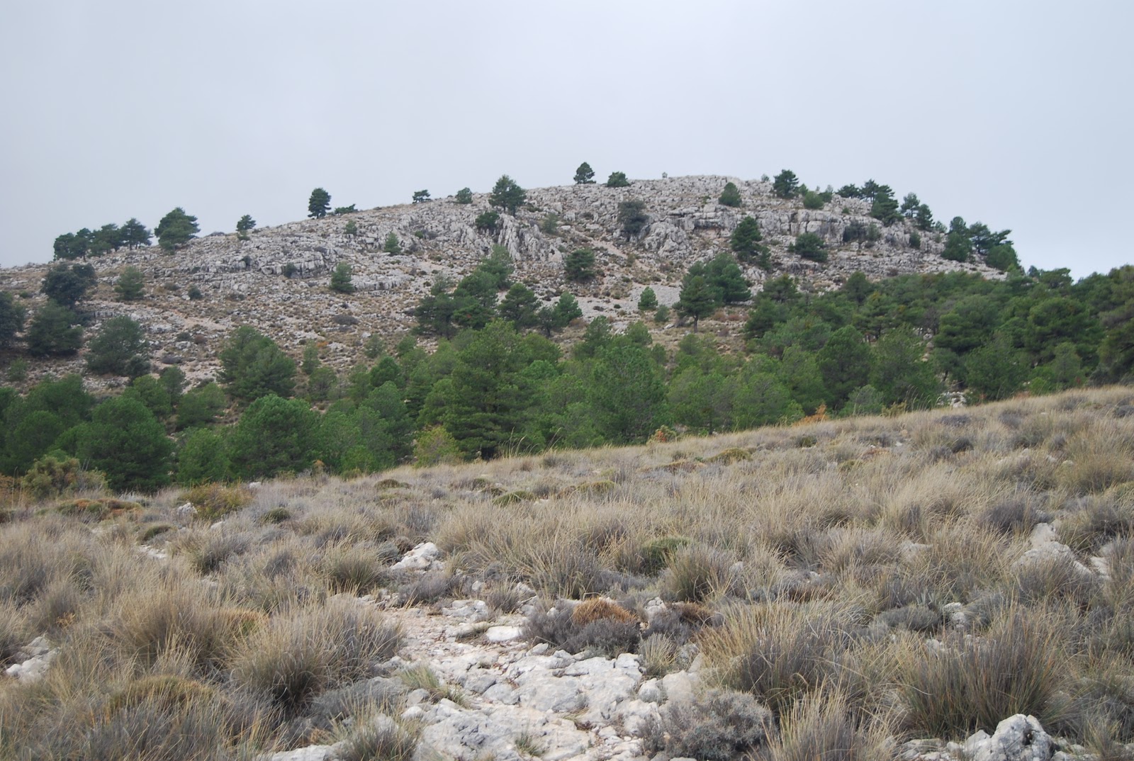 INAZARES SUS RINCONES Y SUS GENTES MACIZO DE REVOLCADORES EN NOVIEMBRE