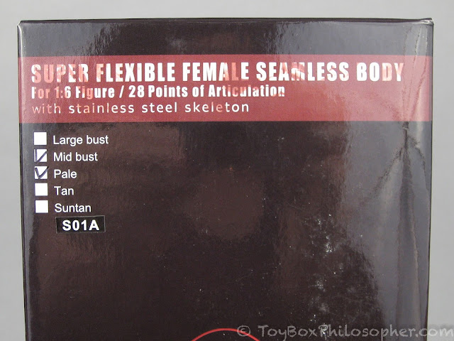Phicen Female Seamless Body S07C Large Breast stainless steel Skelenton in Pale