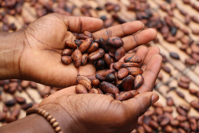 Mes 20 rêves de ces prochaines années ! aller en Afrique