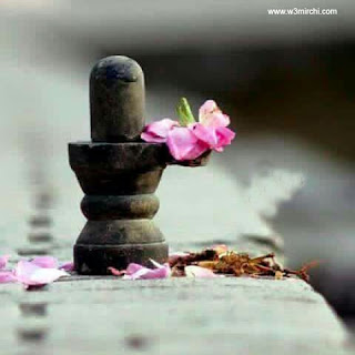 Love Status Pic Love Status Pic