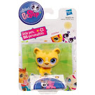 Littlest Pet Shop Singles Bear (#2734) Pet