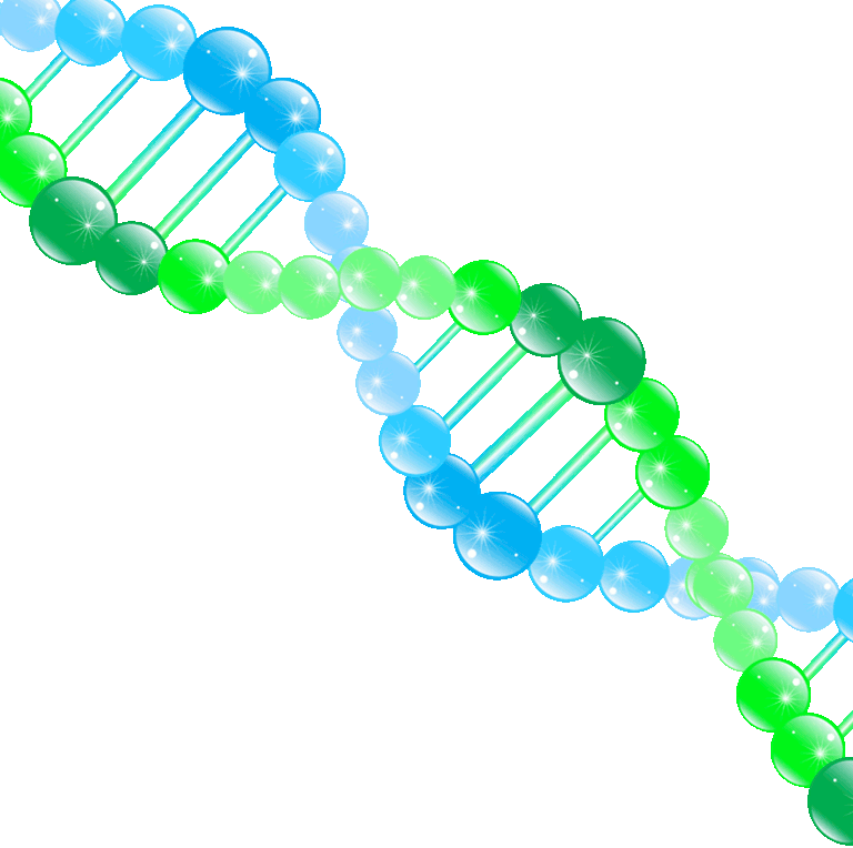 Цепочка ДНК. ДНК анимация. Молекула ДНК. Биология анимация. Молекулы гороха