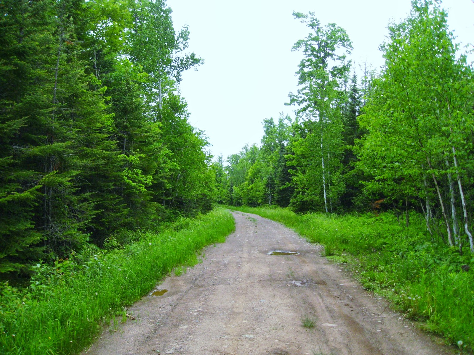 Tales of the Witch of November Superior Hiking Trail Reeves Road to