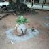 #AnambraDecides: "Vote & Die" Charms & Juju Spotted At A Pooling Unit - Photos