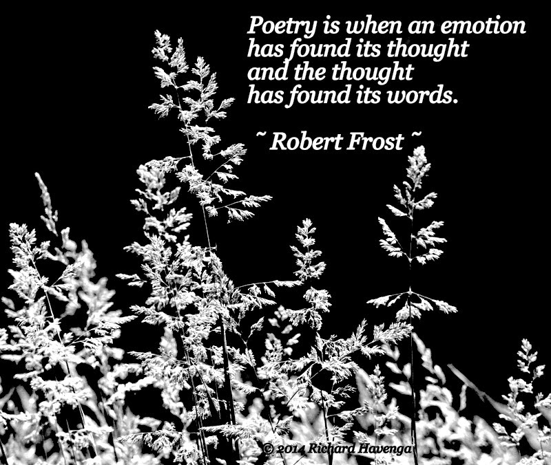 Robert frost as a poet of nature pdf image