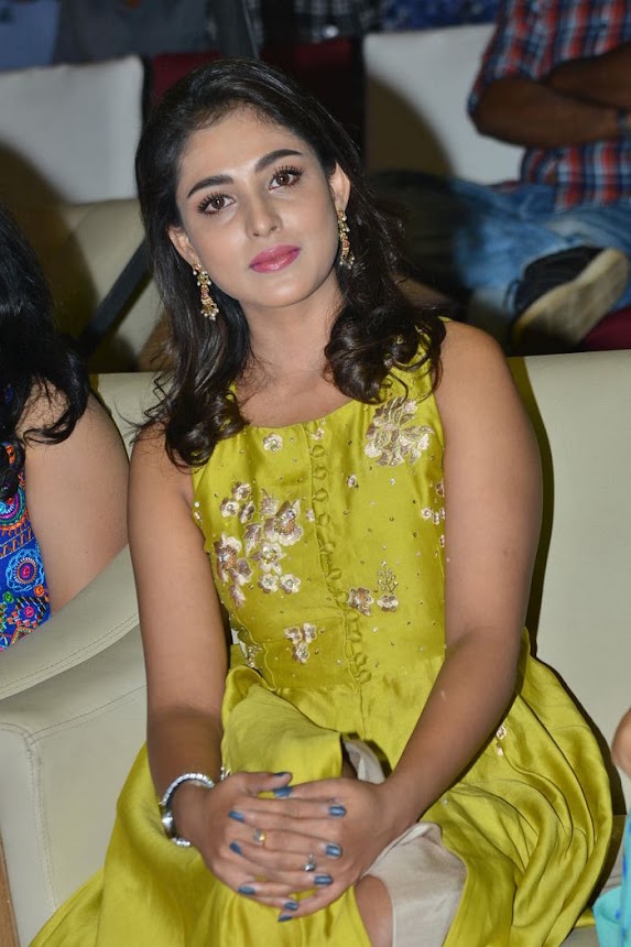 Madhu Shalini at Goodachari Pre Release Function