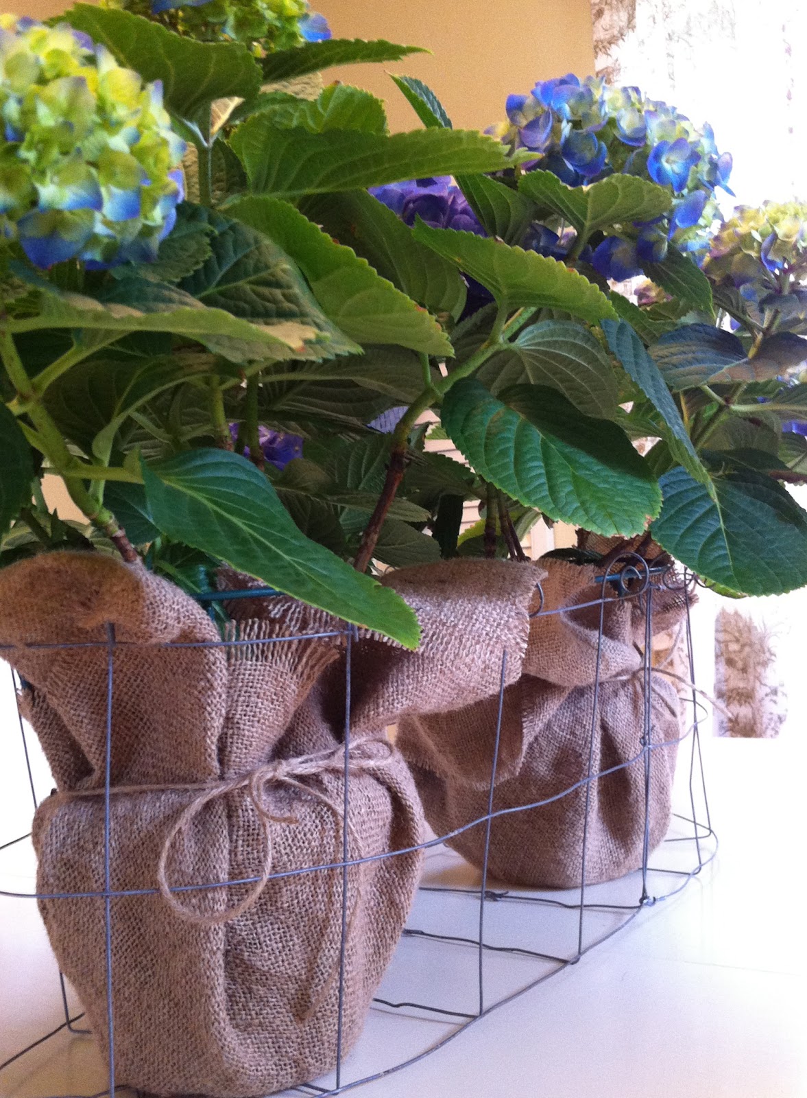 You Could Make That MAKE YOUR OWN WIRE BASKET A TUTORIAL (KIND OF)