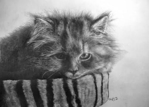18-Hyper-realistic-Cats-Pencil-Drawings-Hong-Kong-Artist-Paul-Lung-aka-paullung-www-designstack-co