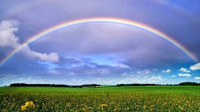 200+ Great Rainbow Photos · Pexels · Free Stock Photos