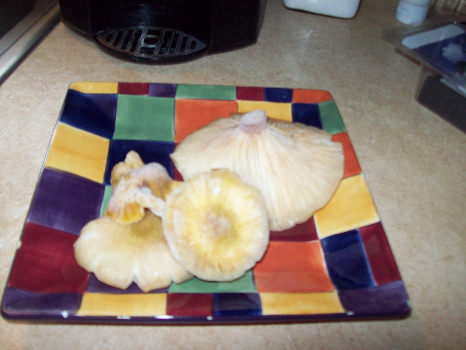 EDIBLE MUSHROOMS OF WISCONSIN