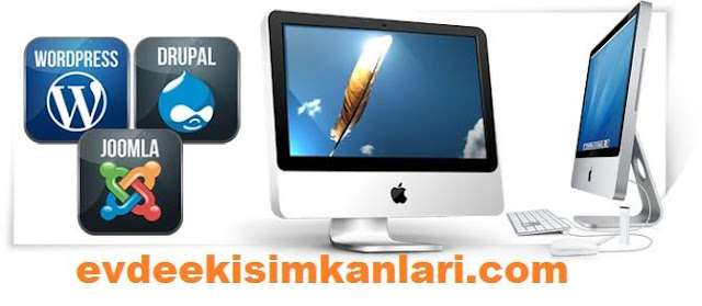 Hazır Portal Kurulumu Yaparak Para Kazanmak