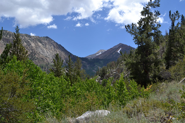 up the canyon to a green bench between mountains