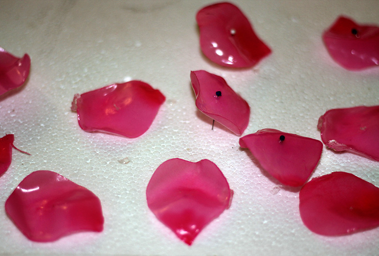 How to Make Soap Petals Everything Pretty