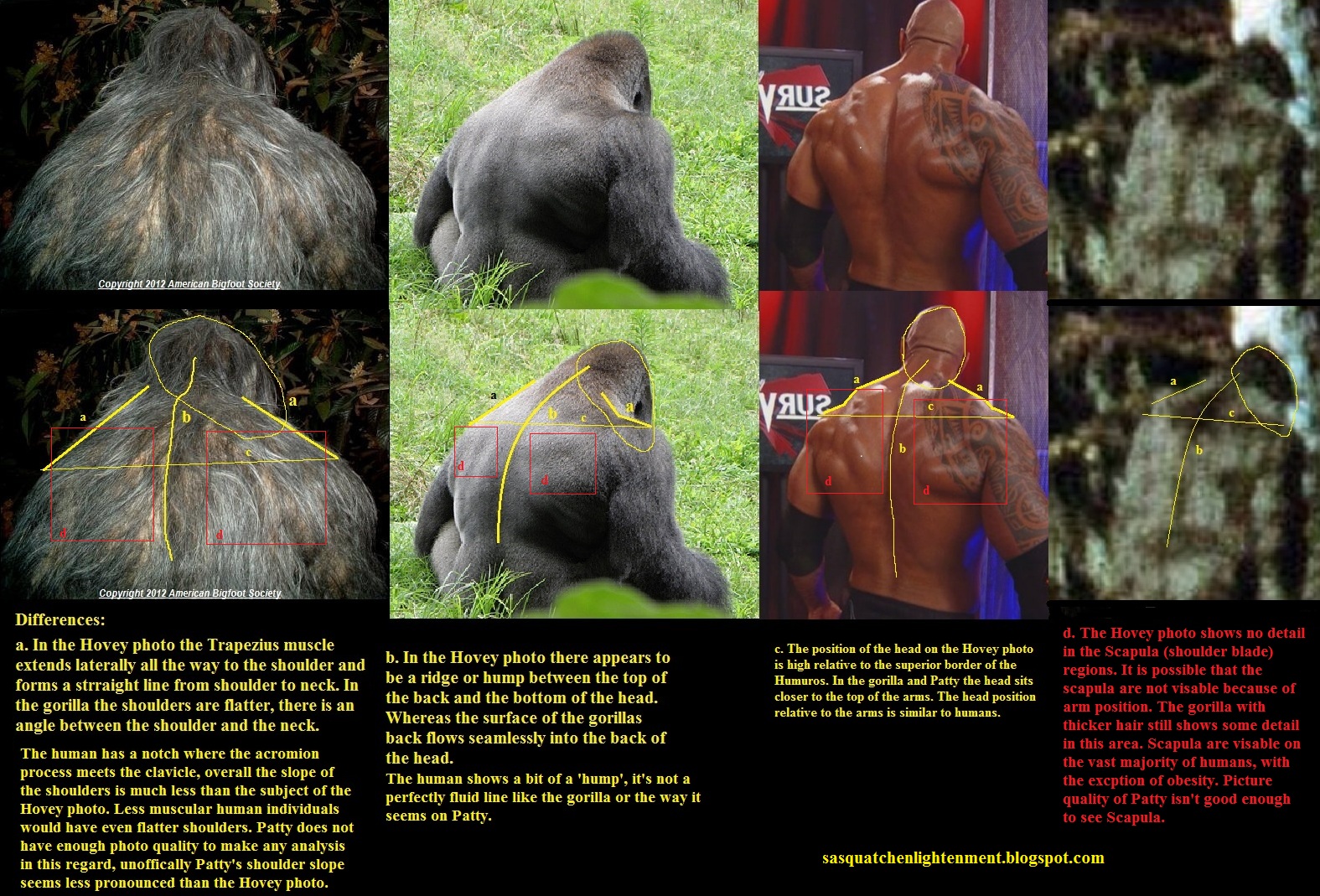 silverback vs gorilla grodd