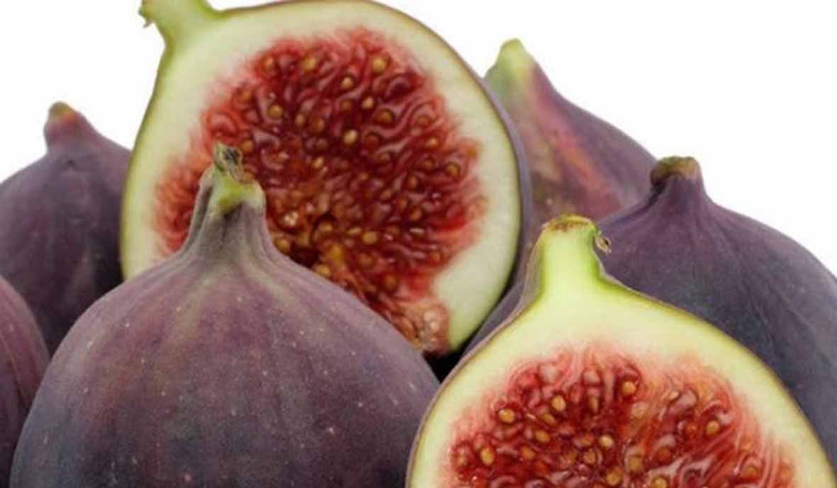 buah tin buah tin