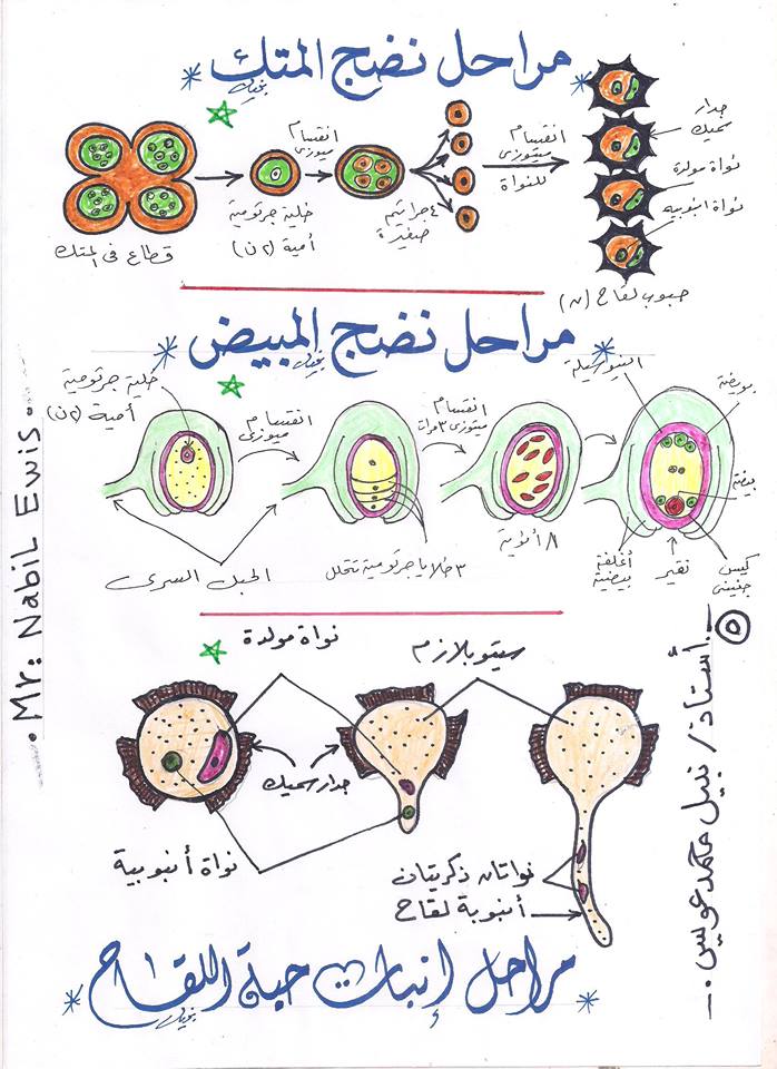 جميع رسومات الاحياء ثالثة ثانوي بخط أ. عبد الحميد عطا 5